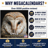 Owls Wall Calendar 2027 - 12" x 12" Monthly Majestic Raptors & Wise Nocturnal Bird Calendar