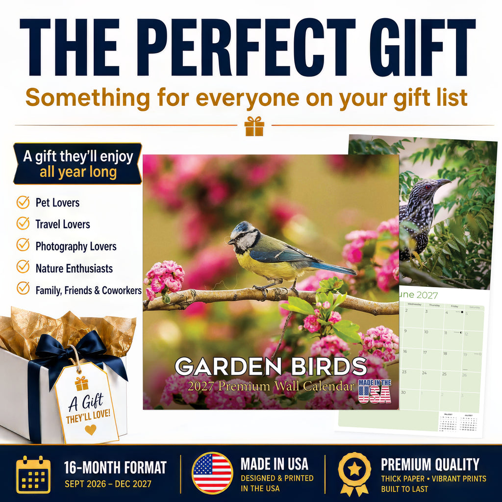 Garden Birds Wall Calendar 2027 - 12" x 12" Monthly Beautiful Songbirds & Colorful Backyard Wild Birds Calendar