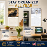 Wolves Wall Calendar 2027 - 12" x 12" Monthly Majestic & Powerful Wild Wolf Wildlife Nature Calendar