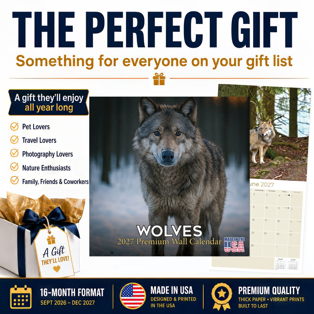 Wolves Wall Calendar 2027 - 12" x 12" Monthly Majestic & Powerful Wild Wolf Wildlife Nature Calendar