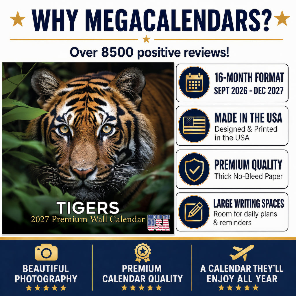 Tigers Wall Calendar 2027 - 12" x 12" Monthly Majestic & Powerful Big Cat Wildlife Nature Calendar