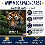 Tigers Wall Calendar 2027 - 12" x 12" Monthly Majestic & Powerful Big Cat Wildlife Nature Calendar