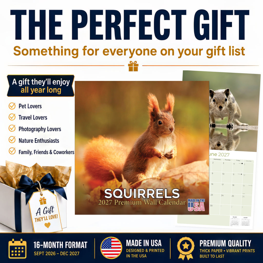 Squirrels Wall Calendar 2027 - 12" x 12" Monthly Playful & Energetic Backyard Wildlife Nature Calendar
