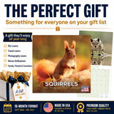 Squirrels Wall Calendar 2027 - 12" x 12" Monthly Playful & Energetic Backyard Wildlife Nature Calendar