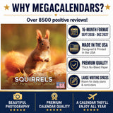 Squirrels Wall Calendar 2027 - 12" x 12" Monthly Playful & Energetic Backyard Wildlife Nature Calendar