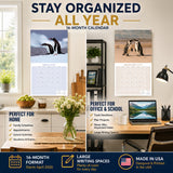 Penguins Wall Calendar 2027 - 12" x 12" Monthly Resilient Antarctic Wildlife & Playful Pod Calendar