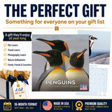 Penguins Wall Calendar 2027 - 12" x 12" Monthly Resilient Antarctic Wildlife & Playful Pod Calendar