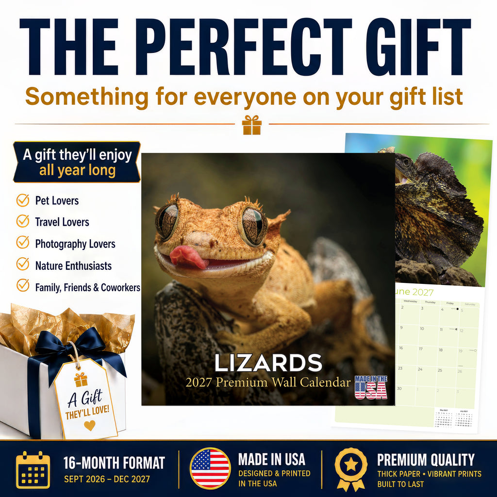Lizards Wall Calendar 2027 - 12" x 12" Monthly Exotic Reptiles & Colorful Scaled Terrarium Nature Calendar