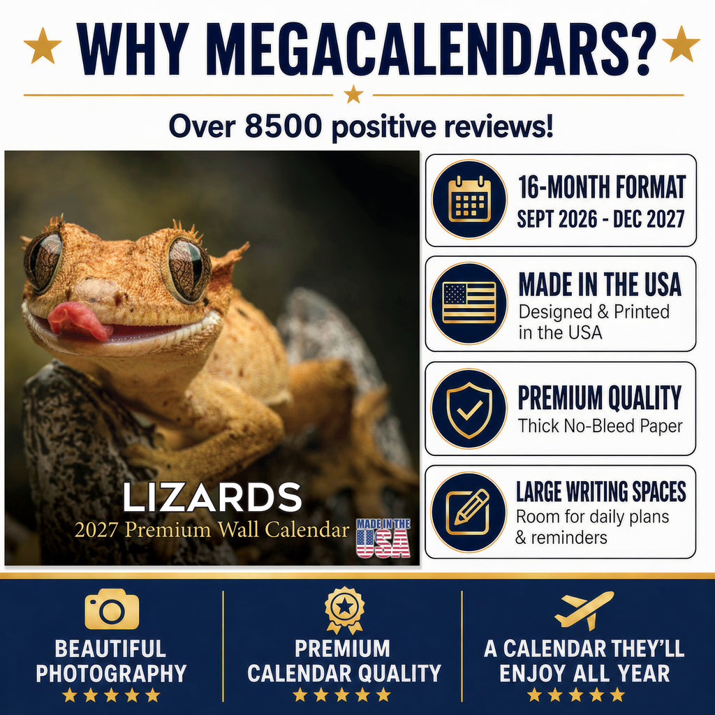 Lizards Wall Calendar 2027 - 12" x 12" Monthly Exotic Reptiles & Colorful Scaled Terrarium Nature Calendar