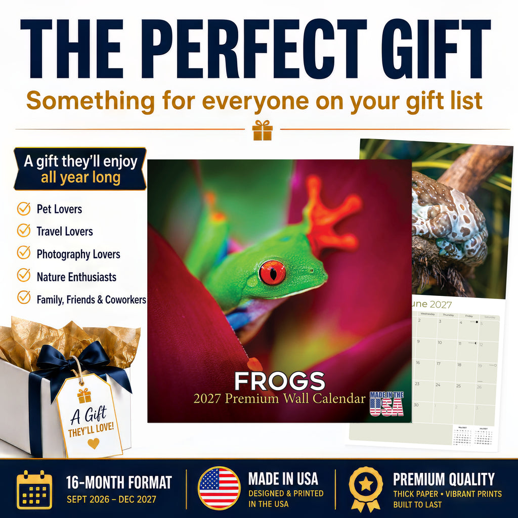 Frogs Wall Calendar 2027 - 12" x 12" Monthly Colorful Exotic Tree Frogs Amphibian Nature Calendar