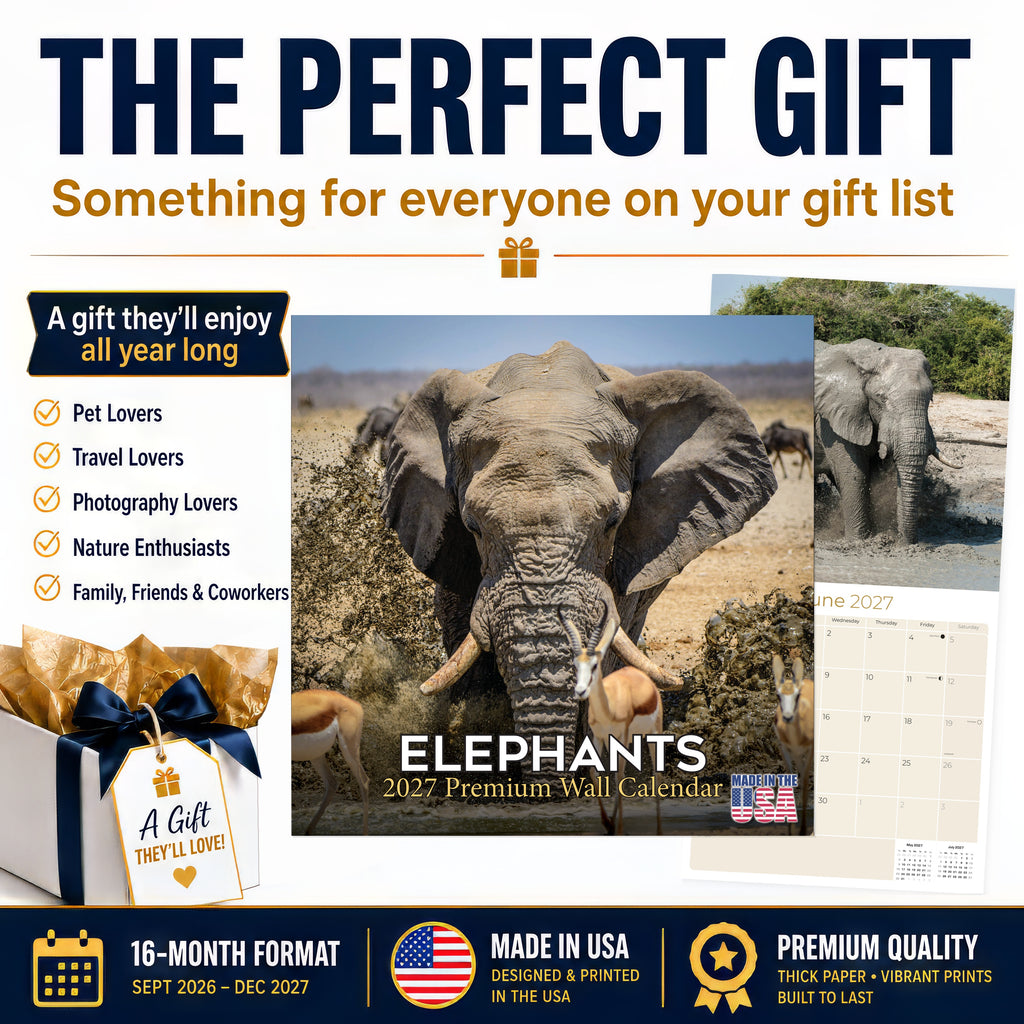 Elephants Wall Calendar 2027 - 12" x 12" Monthly Majestic African Elephants & Wild Herd Nature Calendar