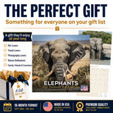 Elephants Wall Calendar 2027 - 12" x 12" Monthly Majestic African Elephants & Wild Herd Nature Calendar