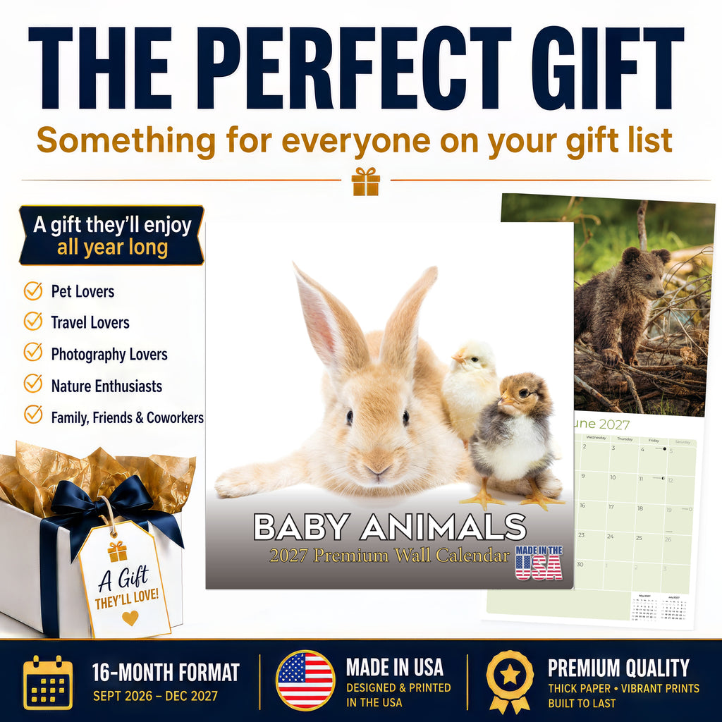 Baby Animals Wall Calendar 2027 - 12" x 12" Monthly Heartwarming & Playful Cute Wildlife Calendar