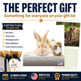 Baby Animals Wall Calendar 2027 - 12" x 12" Monthly Heartwarming & Playful Cute Wildlife Calendar