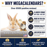 Baby Animals Wall Calendar 2027 - 12" x 12" Monthly Heartwarming & Playful Cute Wildlife Calendar