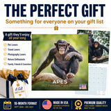 Apes Wall Calendar 2027 - 12" x 12" Monthly Wild Primate & Majestic Chimpanzee Nature Calendar