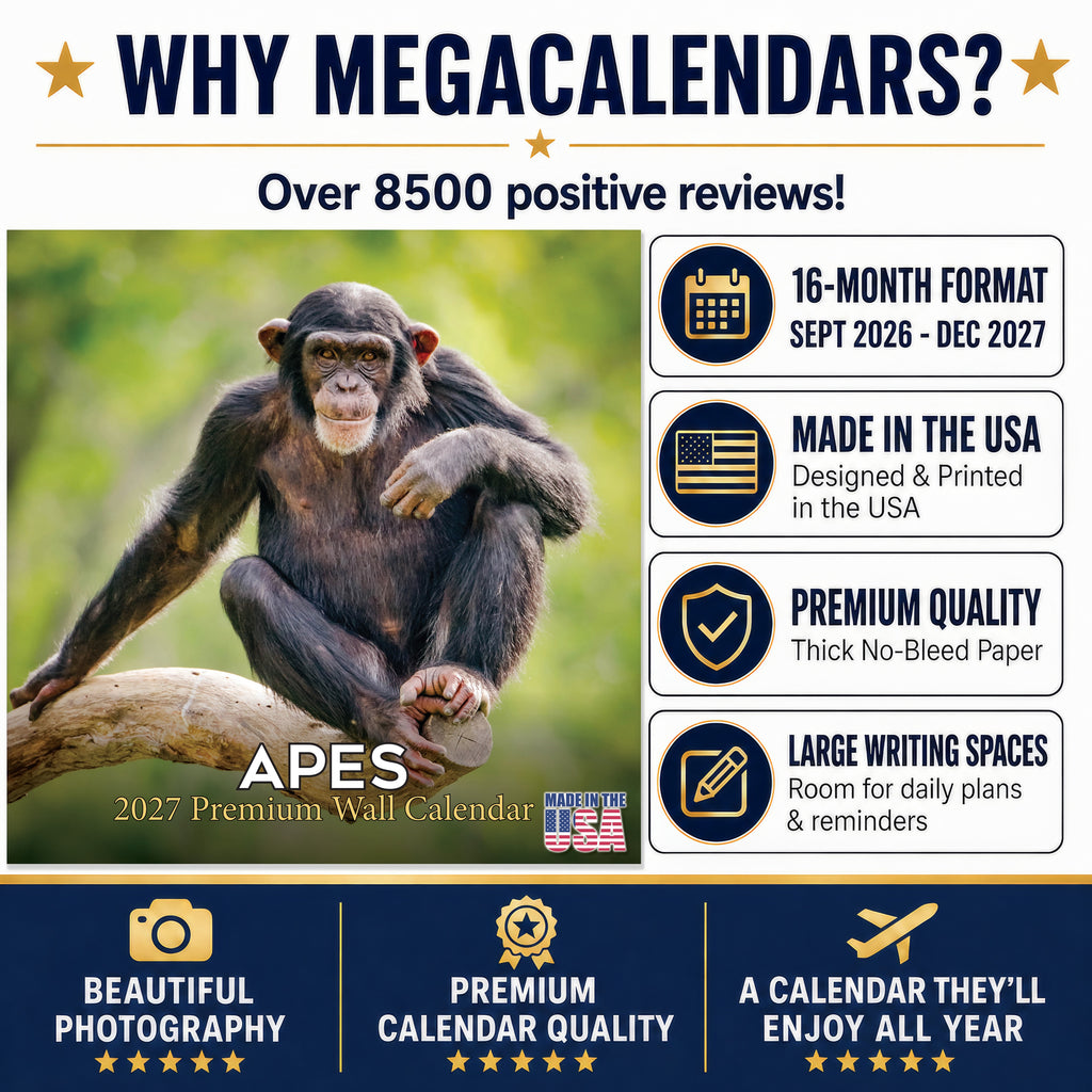 Apes Wall Calendar 2027 - 12" x 12" Monthly Wild Primate & Majestic Chimpanzee Nature Calendar