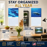Dolphins Wall Calendar 2027 - 12" x 12" Monthly Breathtaking Ocean Dolphins & Marine Life Scenery Calendar