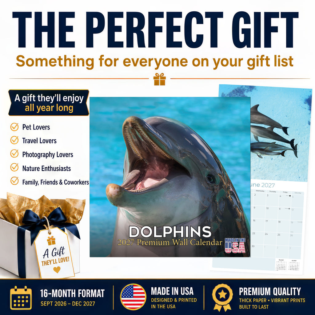 Dolphins Wall Calendar 2027 - 12" x 12" Monthly Breathtaking Ocean Dolphins & Marine Life Scenery Calendar