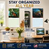 Macaws Wall Calendar 2027 - 12" x 12" Monthly Bird Breed Calendar