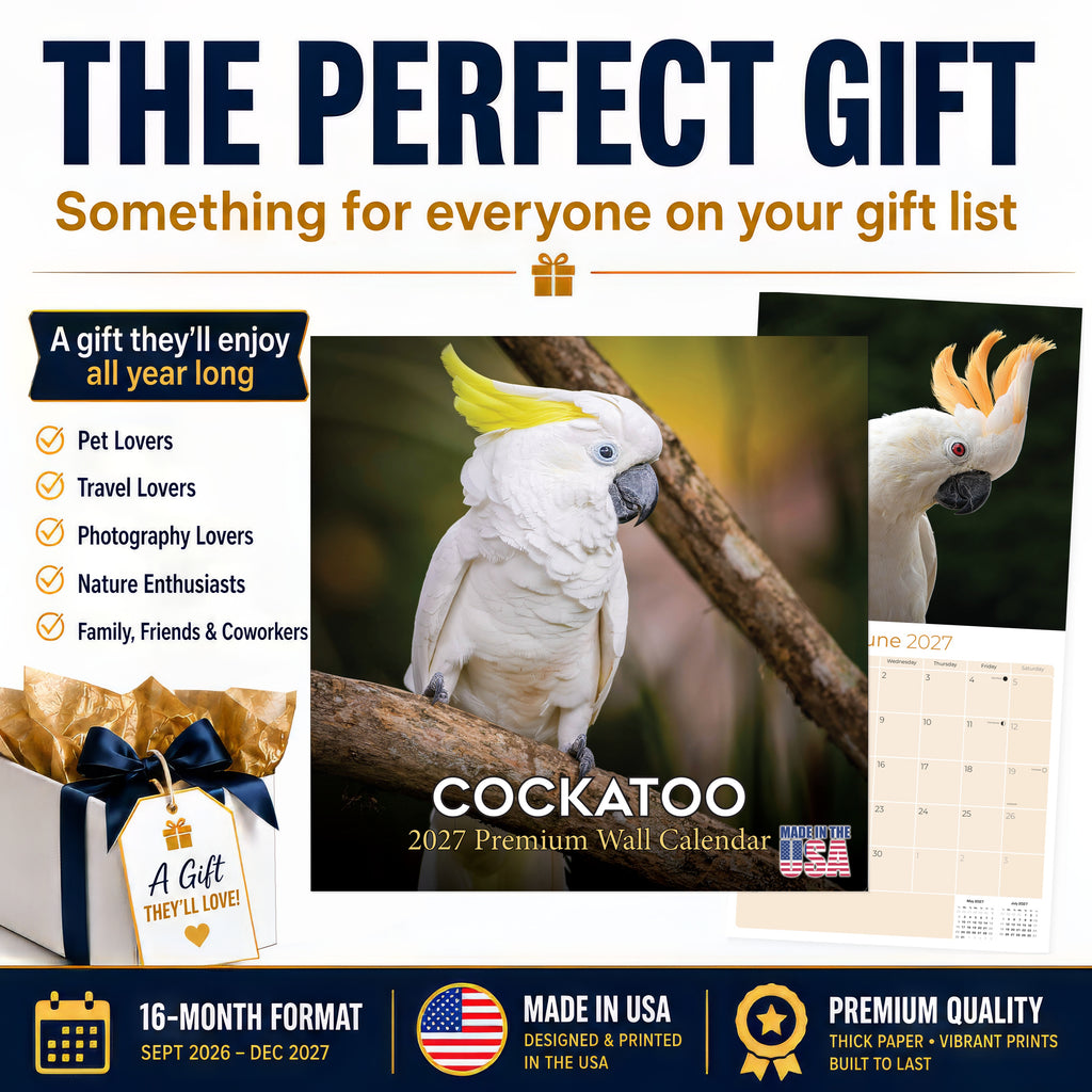 Cockatoos Wall Calendar 2027 - 12" x 12" Monthly Bird Breed Calendar