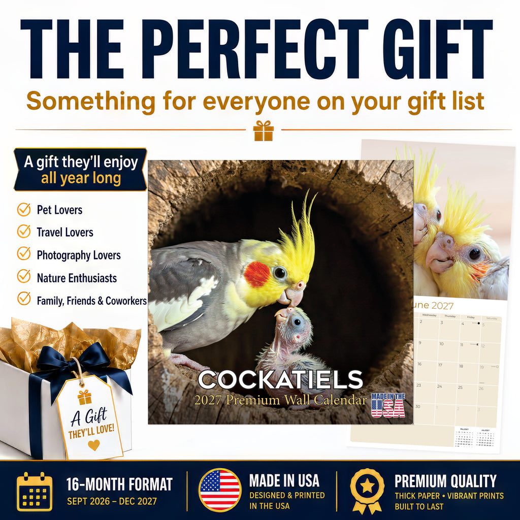 Cockatiels Wall Calendar 2027 - 12" x 12" Monthly Bird Breed Calendar