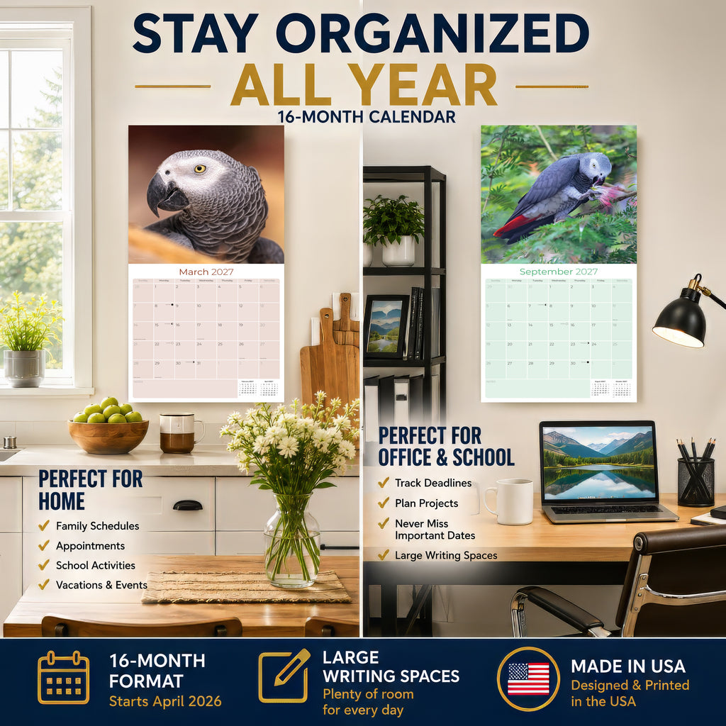 African Greys Wall Calendar 2027 - 12" x 12" Monthly Tropical Bird Calendar