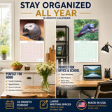 African Greys Wall Calendar 2027 - 12" x 12" Monthly Tropical Bird Calendar