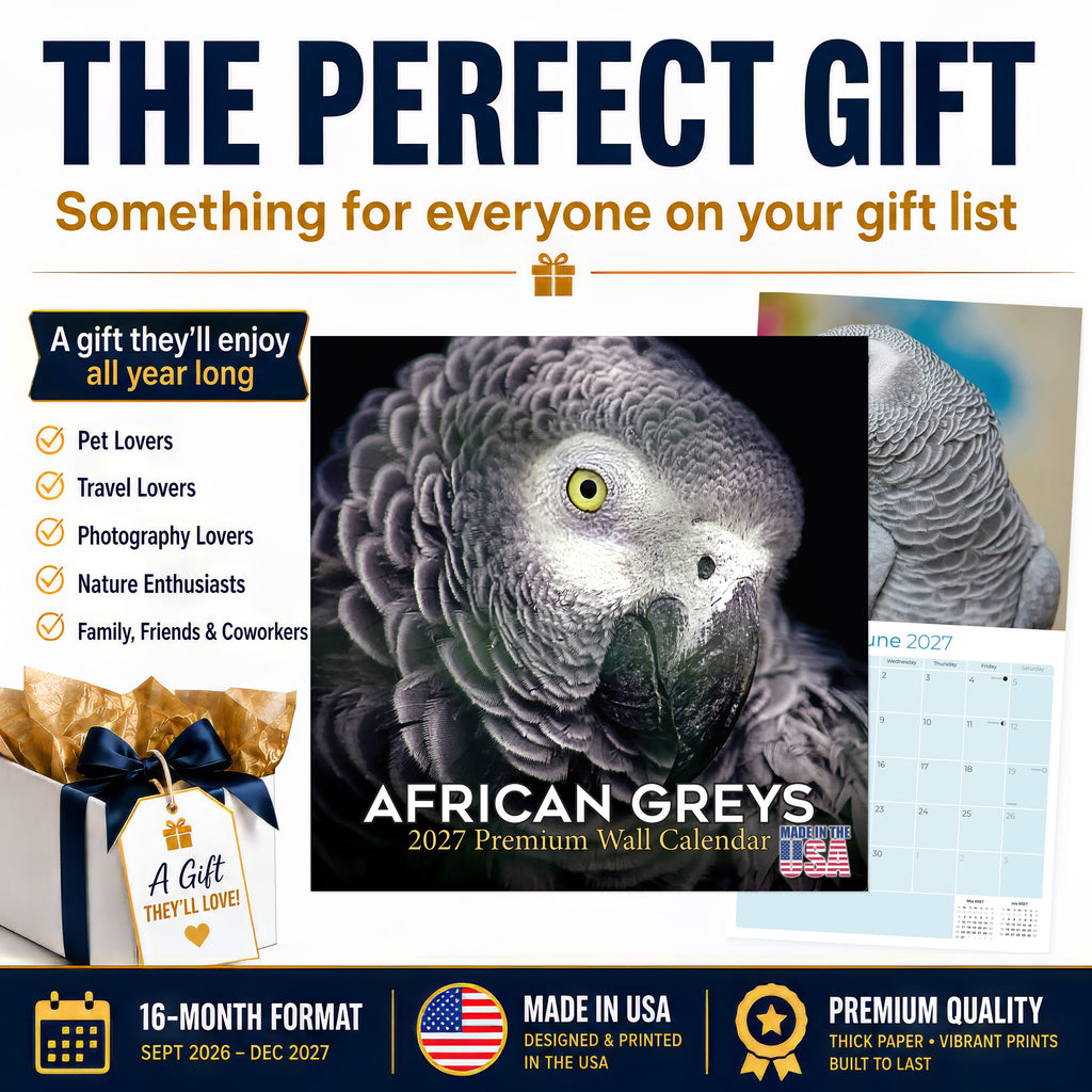 African Greys Wall Calendar 2027 - 12" x 12" Monthly Tropical Bird Calendar