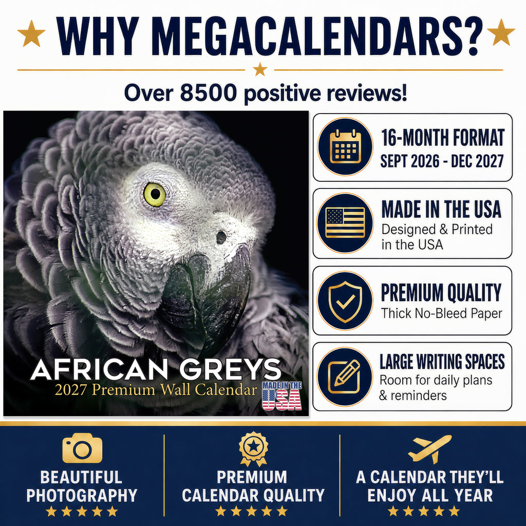 African Greys Wall Calendar 2027 - 12" x 12" Monthly Tropical Bird Calendar