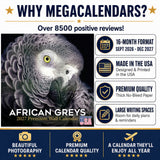 African Greys Wall Calendar 2027 - 12" x 12" Monthly Tropical Bird Calendar