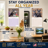 Miniature Schnauzer Wall Calendar 2027 - 12" x 12" Monthly Bearded Terrier & Spirited Small Schnauzer Calendar