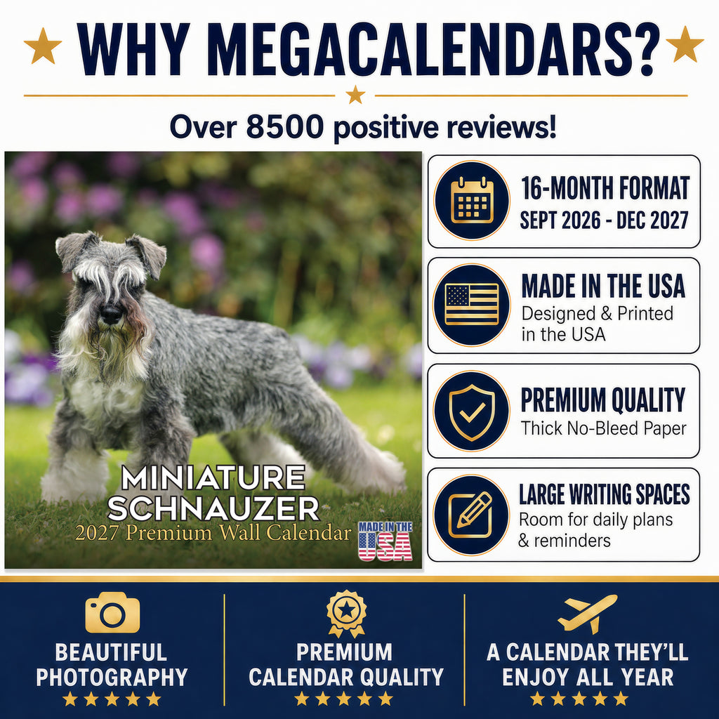 Miniature Schnauzer Wall Calendar 2027 - 12" x 12" Monthly Bearded Terrier & Spirited Small Schnauzer Calendar