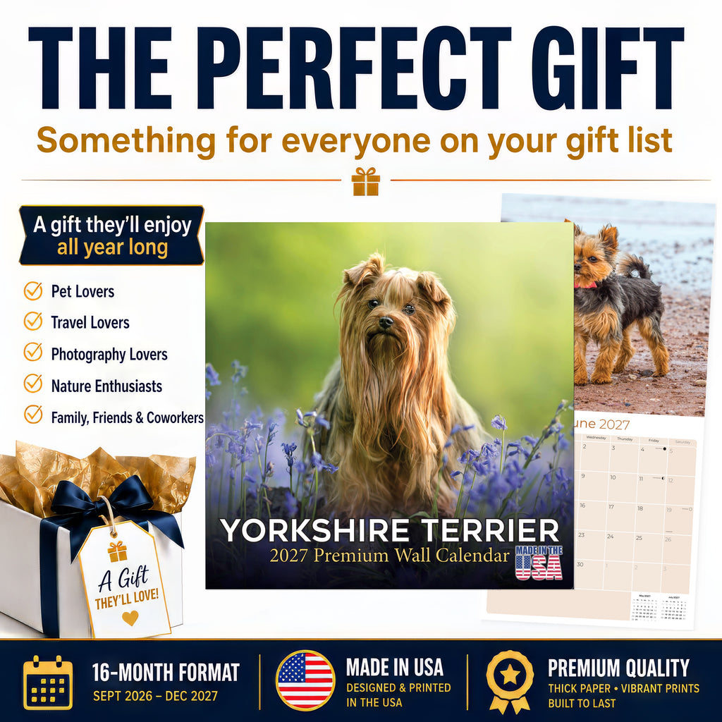 Yorkshire Terrier Wall Calendar 2027 - 12" x 12" Monthly Bold & Affectionate Yorkie Dog Breed Calendar