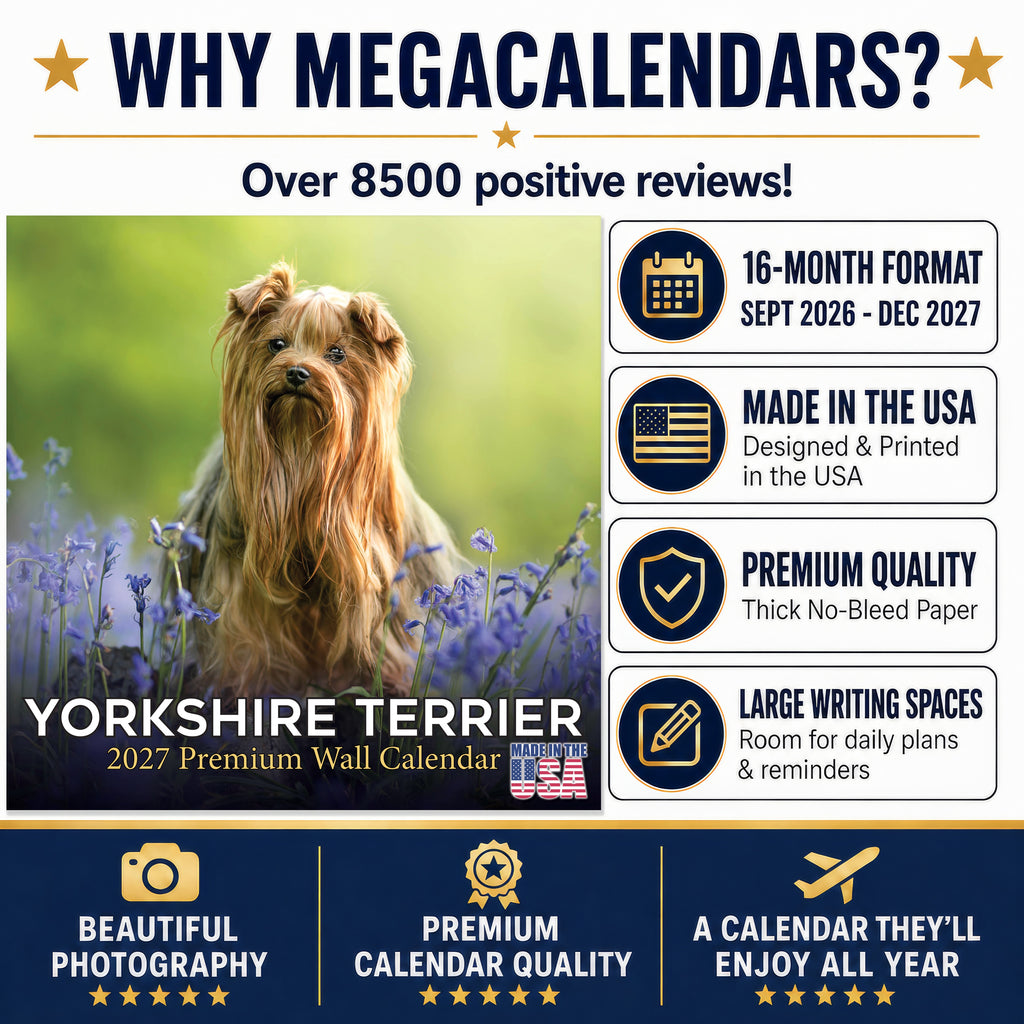 Yorkshire Terrier Wall Calendar 2027 - 12" x 12" Monthly Bold & Affectionate Yorkie Dog Breed Calendar