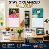 Whippet Wall Calendar 2027 - 12" x 12" Monthly Sleek & Athletic Sighthound Dog Breed Calendar