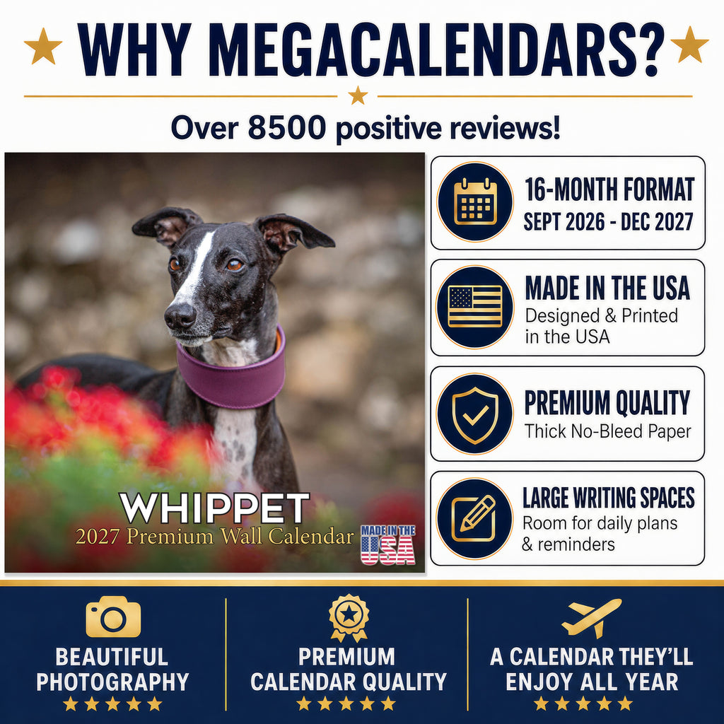 Whippet Wall Calendar 2027 - 12" x 12" Monthly Sleek & Athletic Sighthound Dog Breed Calendar