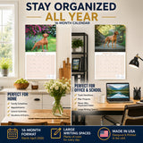 Vizsla Wall Calendar 2027 - 12" x 12" Monthly Athletic & Affectionate Hungarian Pointer Dog Breed Calendar