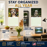 Tibetan Terrier Wall Calendar 2027 - 12" x 12" Monthly Loyal & Affectionate Tibetan Dog Breed Calendar
