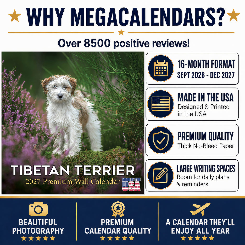 Tibetan Terrier Wall Calendar 2027 - 12" x 12" Monthly Loyal & Affectionate Tibetan Dog Breed Calendar