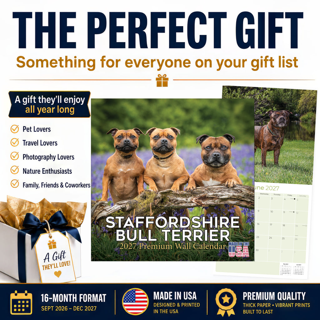 Staffordshire Bull Terrier Wall Calendar 2027 - 12" x 12" Monthly Courageous & Affectionate Staffy Dog Breed Calendar