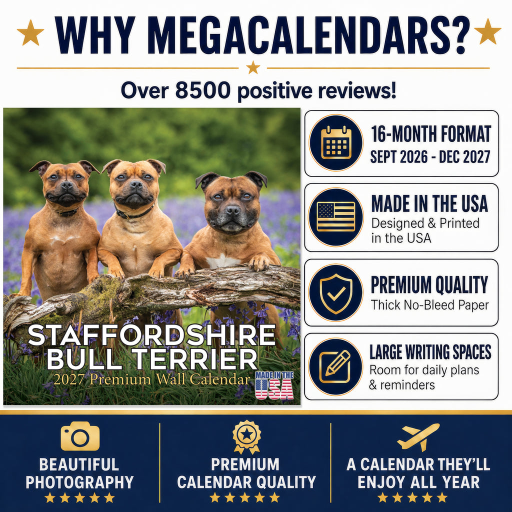 Staffordshire Bull Terrier Wall Calendar 2027 - 12" x 12" Monthly Courageous & Affectionate Staffy Dog Breed Calendar