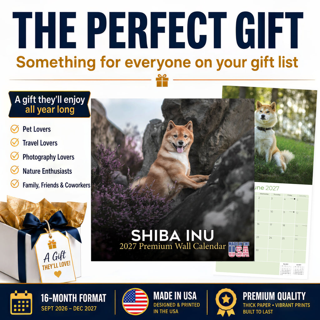 Shiba Inu Wall Calendar 2027 - 12" x 12" Monthly Spirited & Independent Japanese Dog Breed Calendar