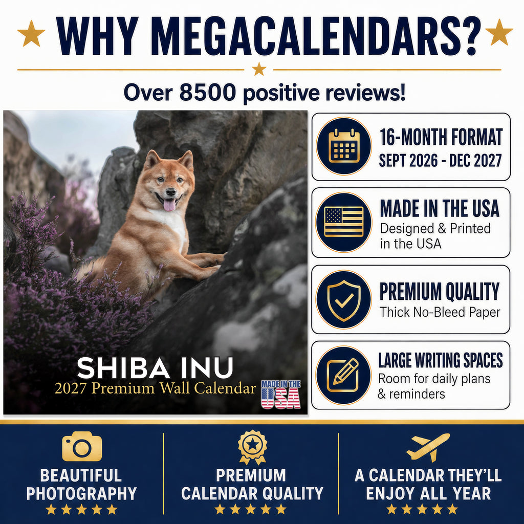Shiba Inu Wall Calendar 2027 - 12" x 12" Monthly Spirited & Independent Japanese Dog Breed Calendar