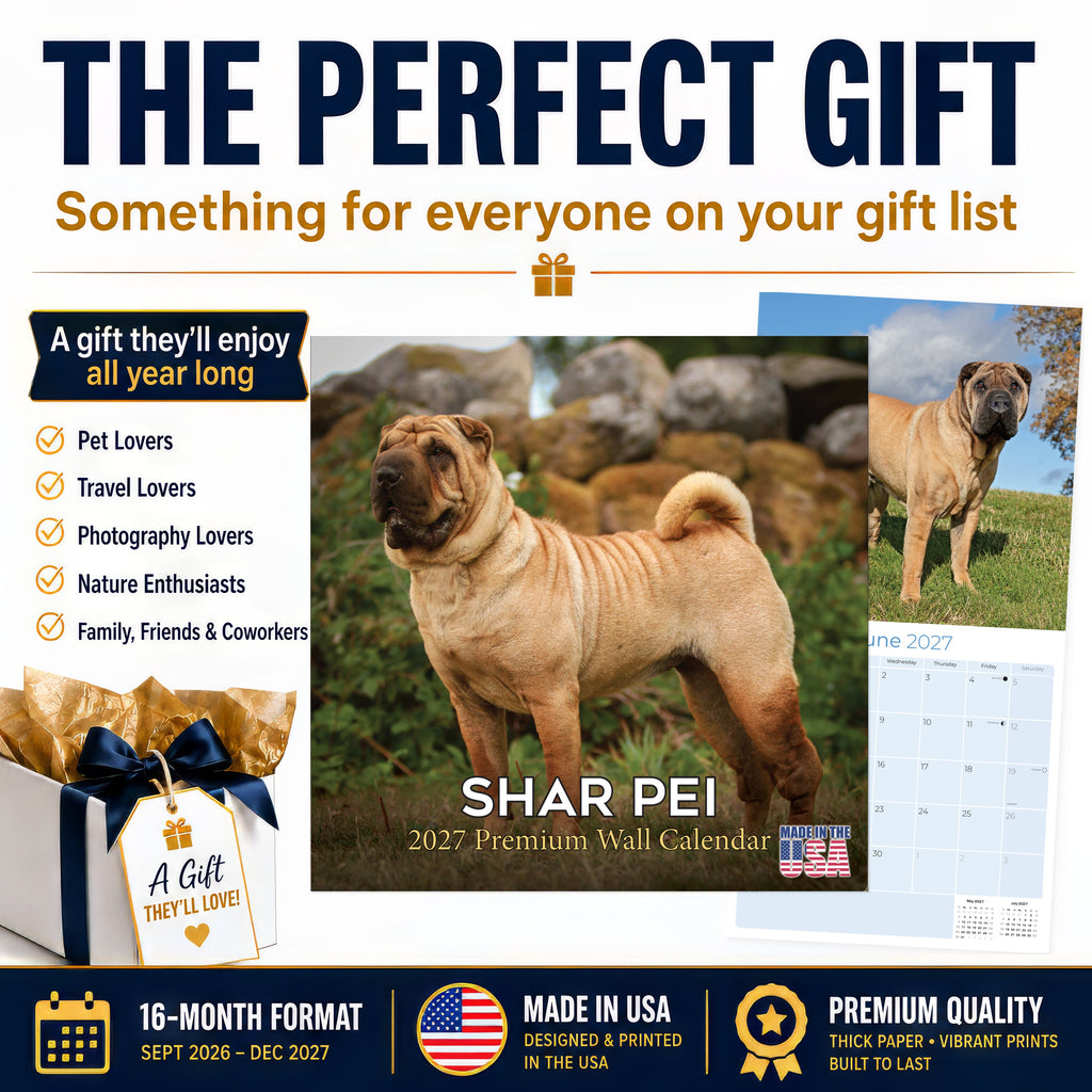 Shar Pei Wall Calendar 2027 - 12" x 12" Monthly Loyal & Independent Wrinkle Dog Breed Calendar