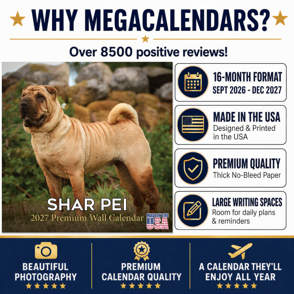 Shar Pei Wall Calendar 2027 - 12" x 12" Monthly Loyal & Independent Wrinkle Dog Breed Calendar