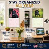 Schipperke Wall Calendar 2027 - 12" x 12" Monthly Curious & Energetic Schipperke Dog Breed Calendar