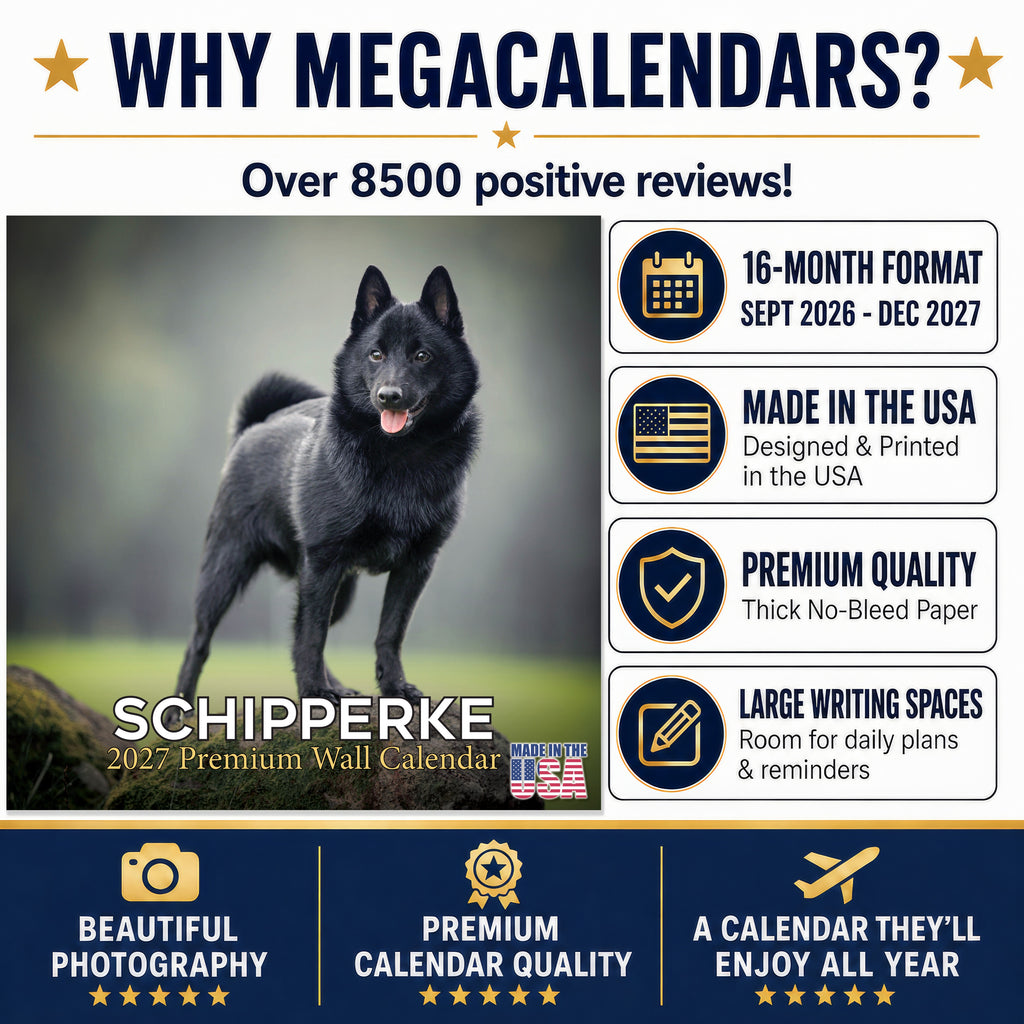 Schipperke Wall Calendar 2027 - 12" x 12" Monthly Curious & Energetic Schipperke Dog Breed Calendar