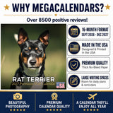 Rat Terrier Wall Calendar 2027 - 12" x 12" Monthly Alert & Energetic American Terrier Breed Calendar