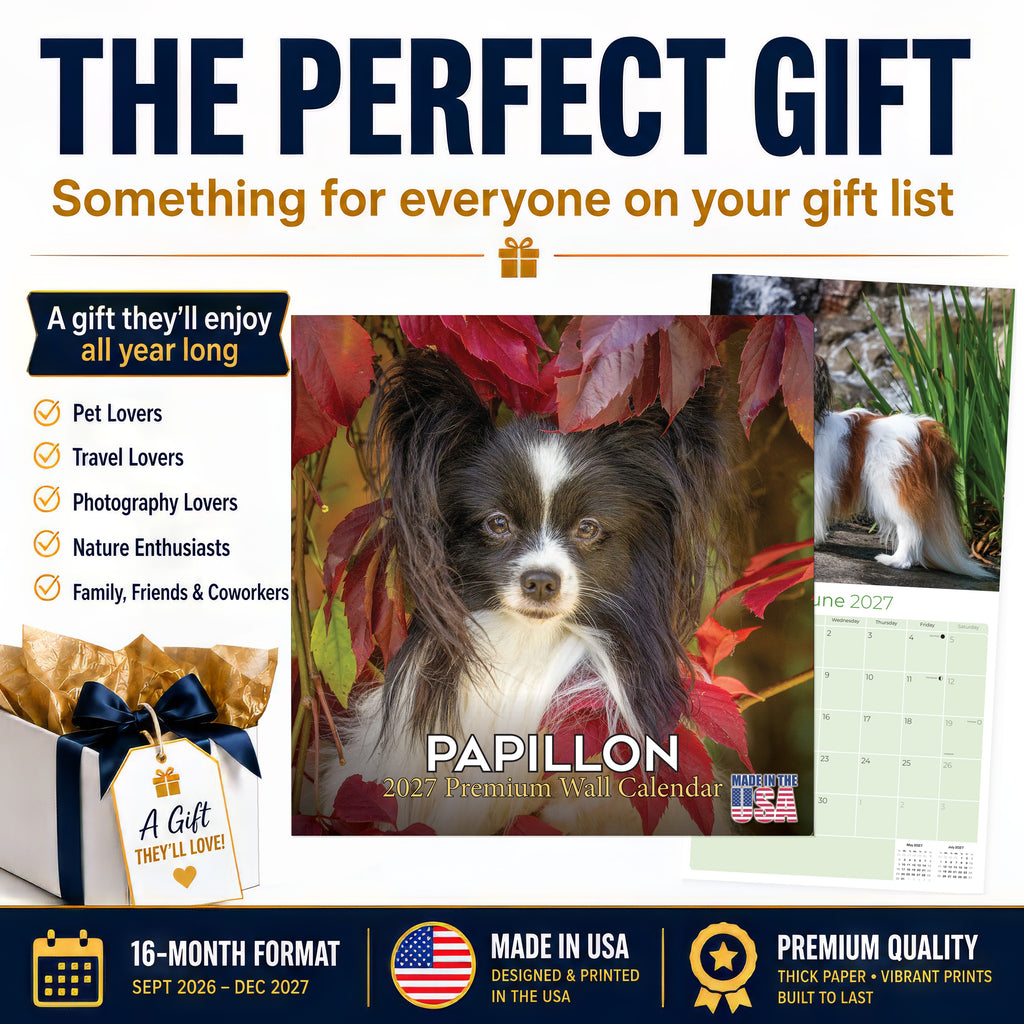 Papillon Wall Calendar 2027 - 12" x 12" Monthly Intelligent Butterfly Ear & Graceful Toy Spaniel Calendar